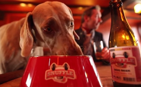 3-dog-beer1_Franklin-Liquors